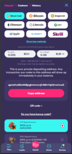  Wild Fortune cashier showing crypto deposit options, exchange rates, and the $3,000 welcome bonus selection.