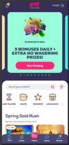 Wild Fortune landing page showing game categories and a search bar for 12,314 titles with a daily bonus banner.