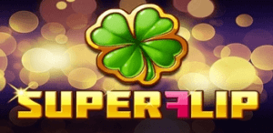 super-flip-logo-1-300x146