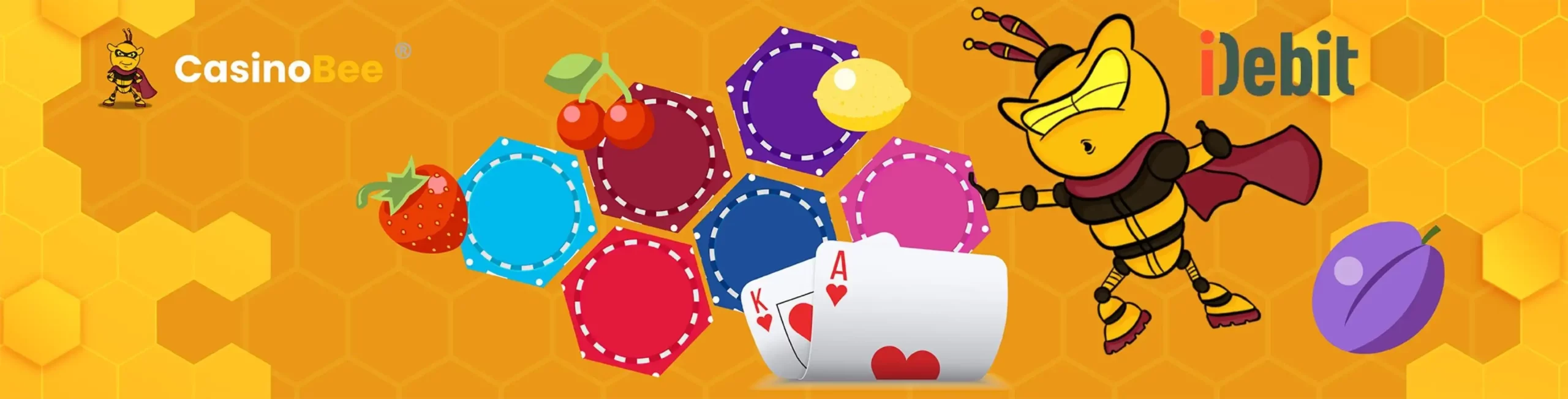 iDebit Casinos Overview
