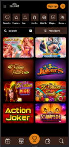 ShelbyWin slot game library grid displaying category filter icons, provider search bar, and various online slot titles.